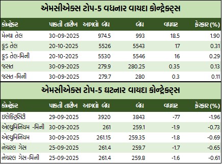 WhatsApp Image 2025 09 15 at 5.08.19 PM