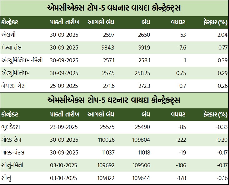 WhatsApp Image 2025 09 18 at 6.16.12 PM 1