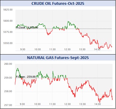 WhatsApp Image 2025 09 19 at 5.28.06 PM 3