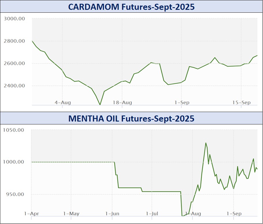 WhatsApp Image 2025 09 20 at 4.42.42 PM 1