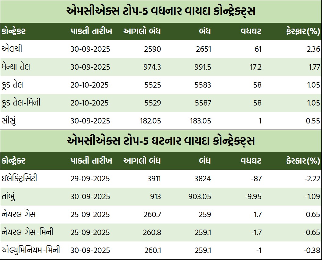 WhatsApp Image 2025 09 20 at 4.42.42 PM