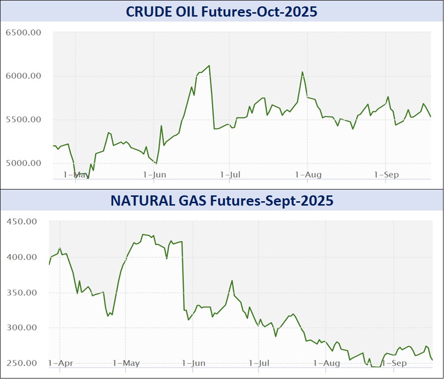WhatsApp Image 2025 09 20 at 4.42.43 PM