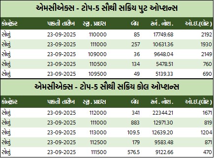 WhatsApp Image 2025 09 22 at 5.39.46 PM 1