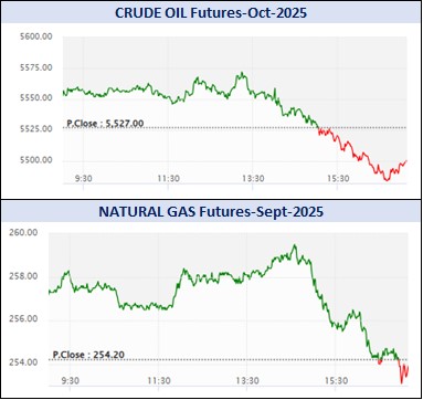 WhatsApp Image 2025 09 22 at 5.39.47 PM