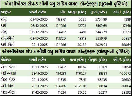 WhatsApp Image 2025 09 24 at 5.12.31 PM