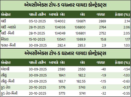 WhatsApp Image 2025 09 25 at 5.21.16 PM 1