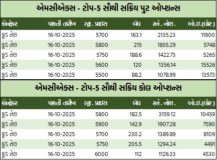 WhatsApp Image 2025 09 26 at 5.48.46 PM 1