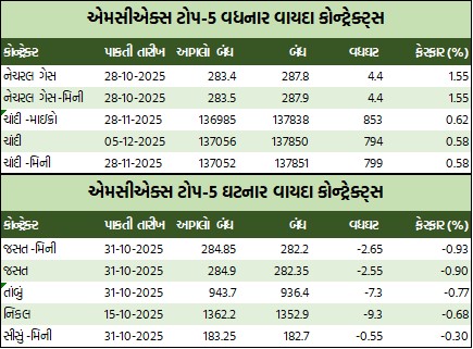 WhatsApp Image 2025 09 26 at 5.48.47 PM