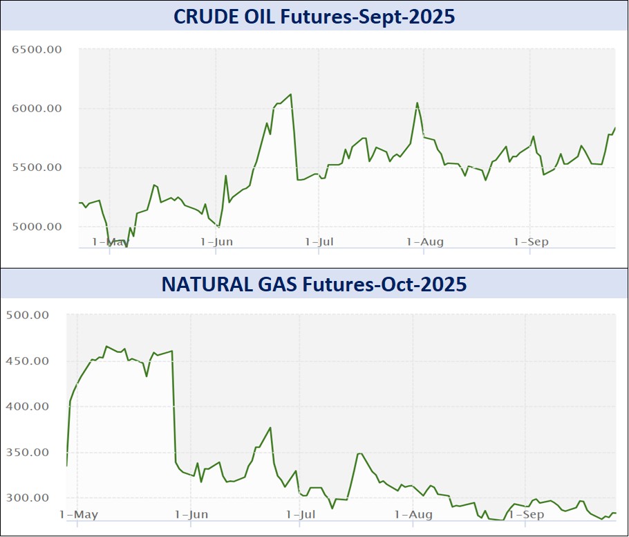 WhatsApp Image 2025 09 27 at 10.44.44 AM 1