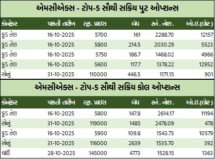 WhatsApp Image 2025 09 29 at 5.34.15 PM 1