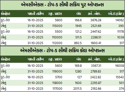 WhatsApp Image 2025 09 30 at 5.15.52 PM 1