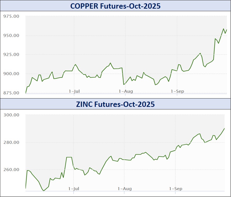 WhatsApp Image 2025 10 02 at 11.59.37 AM 2