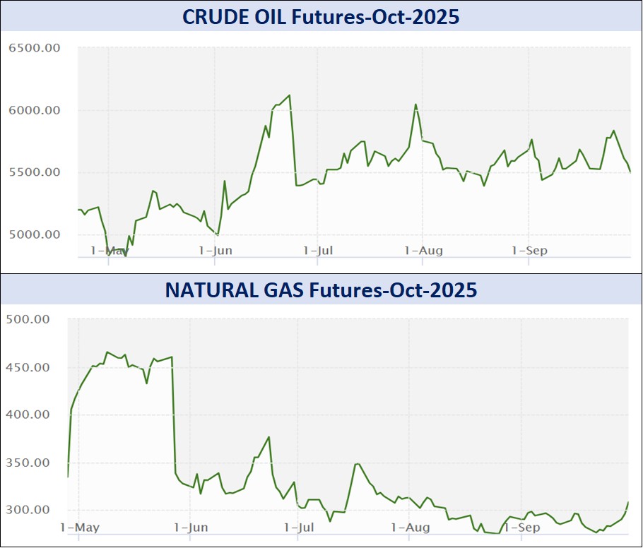 WhatsApp Image 2025 10 02 at 11.59.37 AM