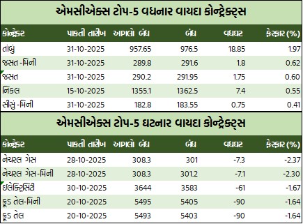 WhatsApp Image 2025 10 03 at 5.36.42 PM 1