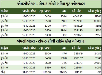 WhatsApp Image 2025 10 03 at 5.36.42 PM