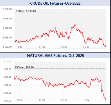 WhatsApp Image 2025 10 03 at 5.36.43 PM