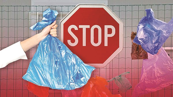 3 units including Dominos sealed for littering banned plastic in Himalaya Mall fined ₹85 thousand 2025