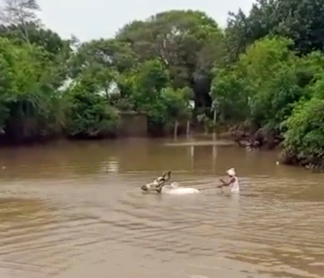 Swagat Online Program for Rapid Solution and Development of Road Bridge Issue in Moddar Village