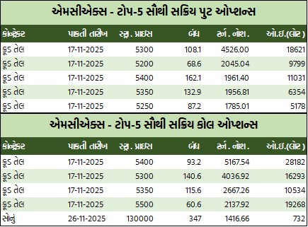 WhatsApp Image 2025 11 06 at 5.31.54 PM