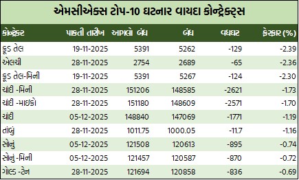 WhatsApp Image 2025 11 08 at 12.04.38 PM 1