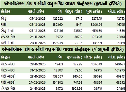 WhatsApp Image 2025 11 10 at 5.35.37 PM 1