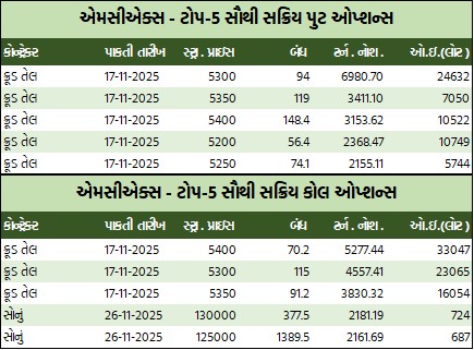 WhatsApp Image 2025 11 10 at 5.35.38 PM