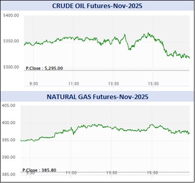 WhatsApp Image 2025 11 10 at 5.35.39 PM