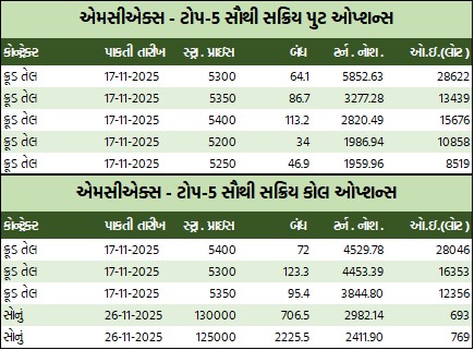 WhatsApp Image 2025 11 11 at 5.31.50 PM 1