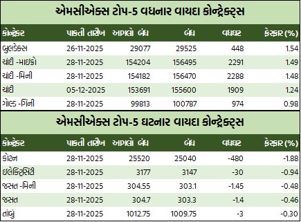 WhatsApp Image 2025 11 11 at 5.31.51 PM