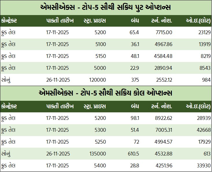 WhatsApp Image 2025 11 13 at 5.47.12 PM