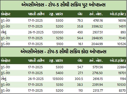 WhatsApp Image 2025 11 14 at 4.01.00 PM