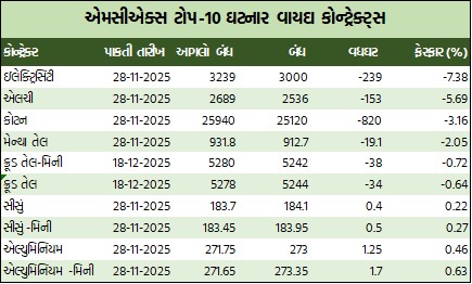 WhatsApp Image 2025 11 15 at 5.16.37 PM