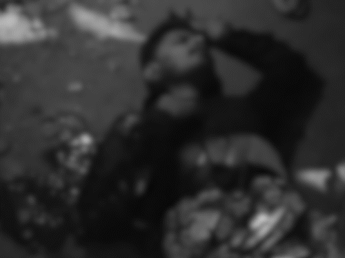 Youth stabbed to death over PUBG game feud two accused arrested