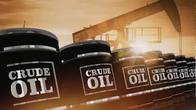 Russiaની Indiaને ઓફર: વધુ ક્રુડ ઓઇલ-ગેસ સપ્લાય, ઊર્જા અને ખાતર સહકાર મજબૂત Russias offer to India More crude oil gas supplies stronger energy and fertilizer cooperation